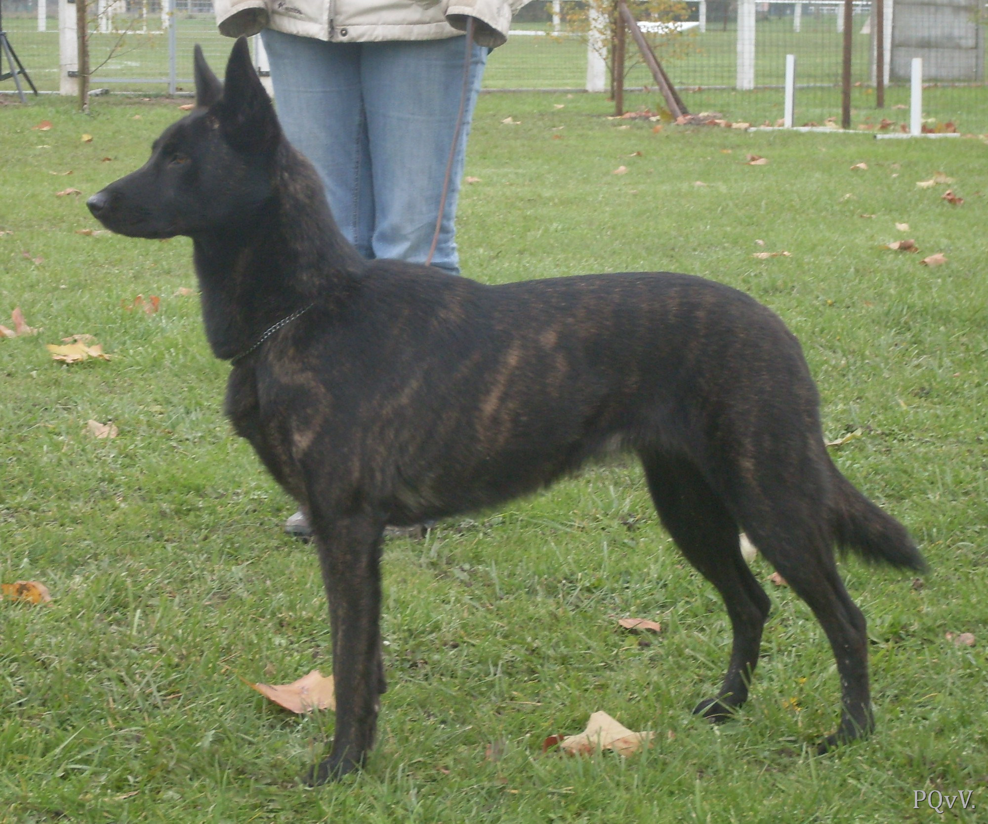  Mac Khalahann’s Fantasia